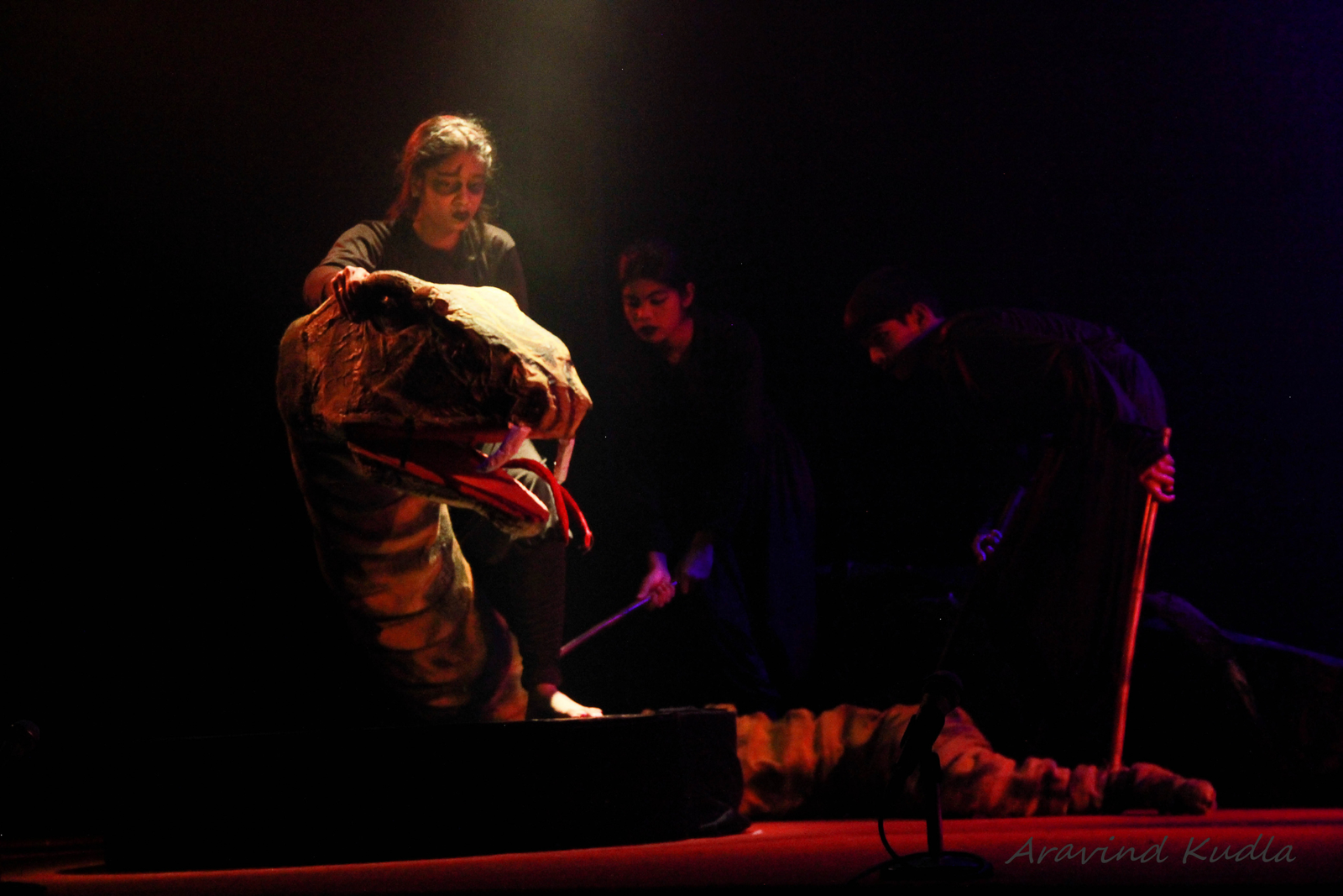 Photo 7