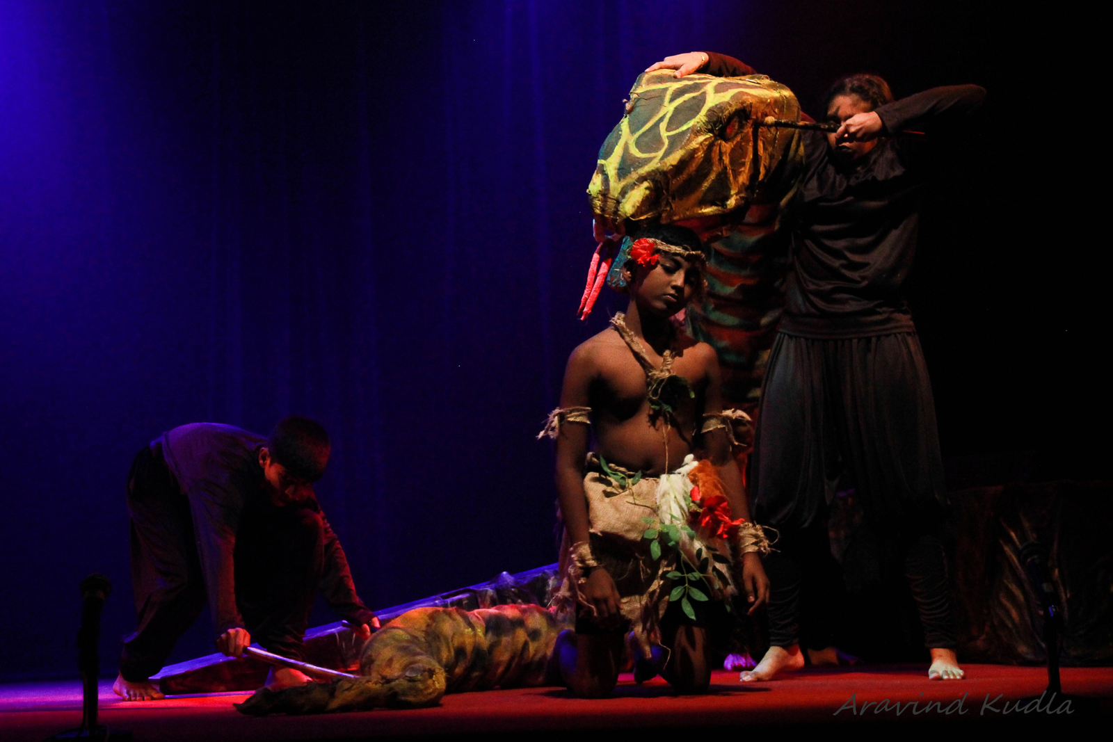 Photo 8